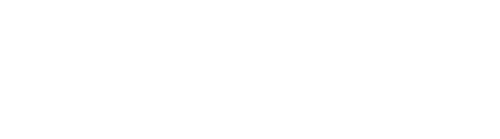 Vikas Trust